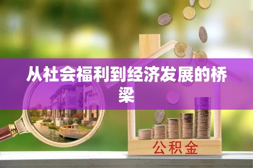 文圣从社会福利到经济发展的桥梁