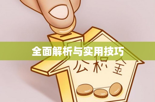 文圣全面解析与实用技巧