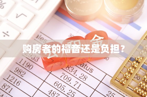 文圣购房者的福音还是负担？