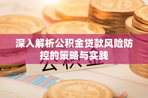 文圣深入解析公积金贷款风险防控的策略与实践