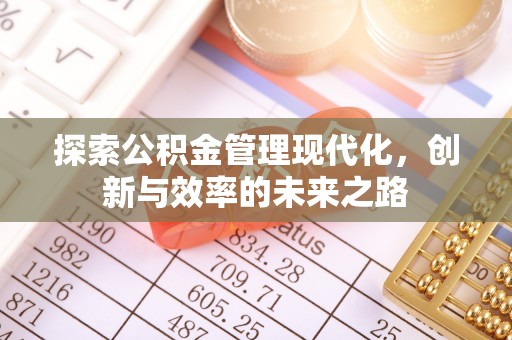 文圣探索公积金管理现代化，创新与效率的未来之路