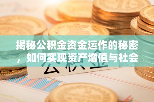 文圣揭秘公积金资金运作的秘密，如何实现资产增值与社会福利双赢？