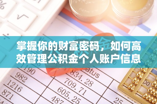 文圣掌握你的财富密码，如何高效管理公积金个人账户信息