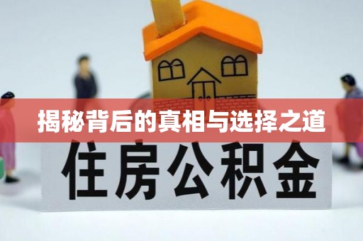 文圣揭秘背后的真相与选择之道