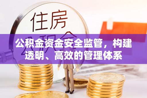 文圣公积金资金安全监管，构建透明、高效的管理体系
