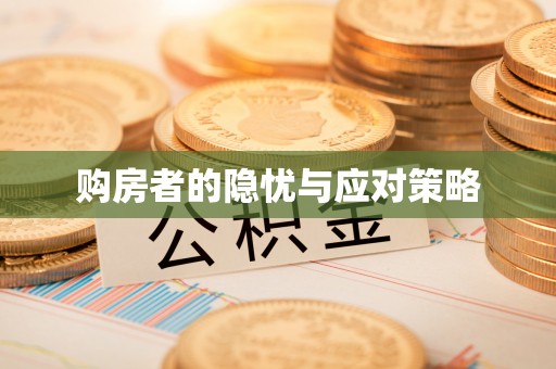 文圣购房者的隐忧与应对策略