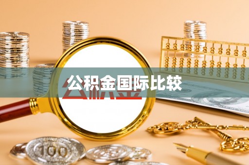 文圣公积金国际比较