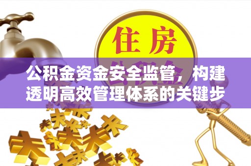文圣公积金资金安全监管，构建透明高效管理体系的关键步骤