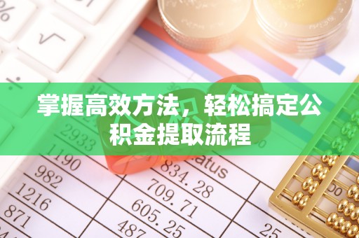 文圣掌握高效方法，轻松搞定公积金提取流程
