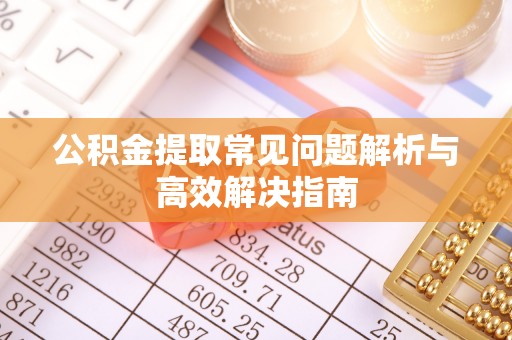 文圣公积金提取常见问题解析与高效解决指南