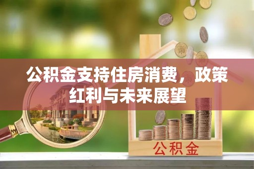 文圣公积金支持住房消费，政策红利与未来展望