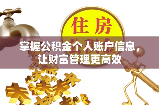 文圣掌握公积金个人账户信息，让财富管理更高效