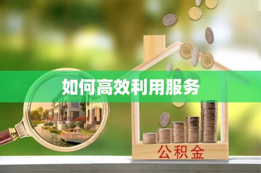 文圣如何高效利用服务