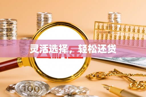 文圣灵活选择，轻松还贷