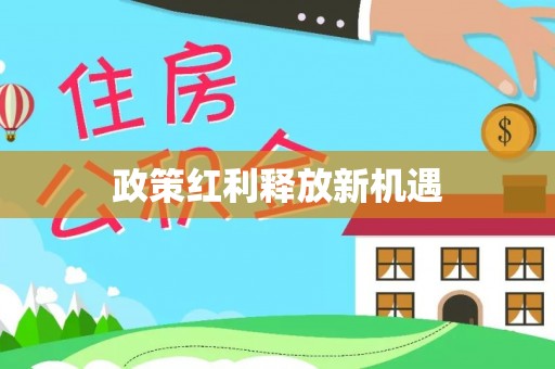 文圣政策红利释放新机遇