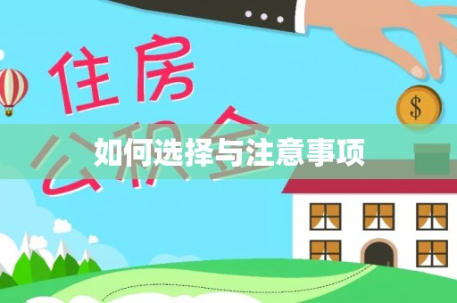 文圣如何选择与注意事项