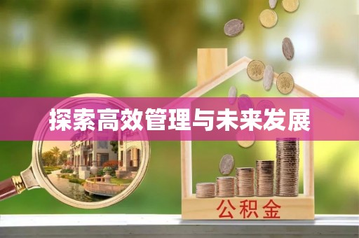 文圣探索高效管理与未来发展