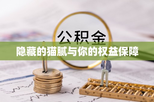 文圣隐藏的猫腻与你的权益保障