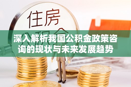 文圣深入解析我国公积金政策咨询的现状与未来发展趋势