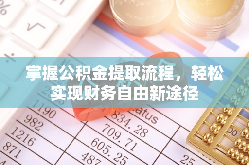 文圣掌握公积金提取流程，轻松实现财务自由新途径