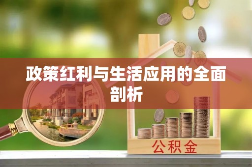 文圣政策红利与生活应用的全面剖析