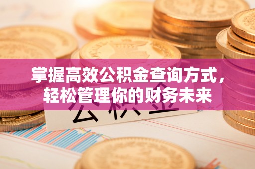 文圣掌握高效公积金查询方式，轻松管理你的财务未来