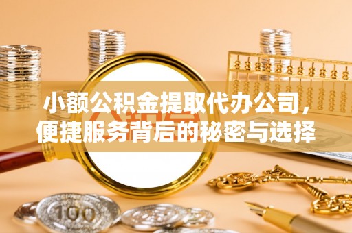 文圣小额公积金提取代办公司，便捷服务背后的秘密与选择指南