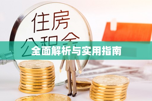 文圣全面解析与实用指南