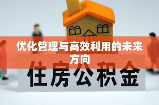 文圣优化管理与高效利用的未来方向