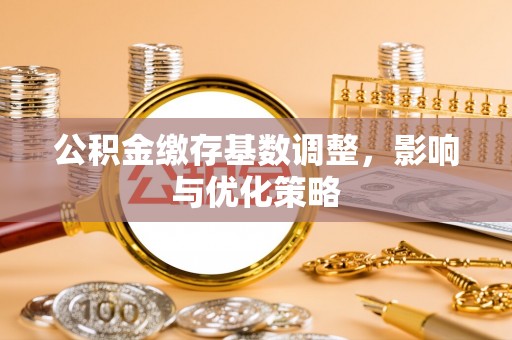 文圣公积金缴存基数调整，影响与优化策略