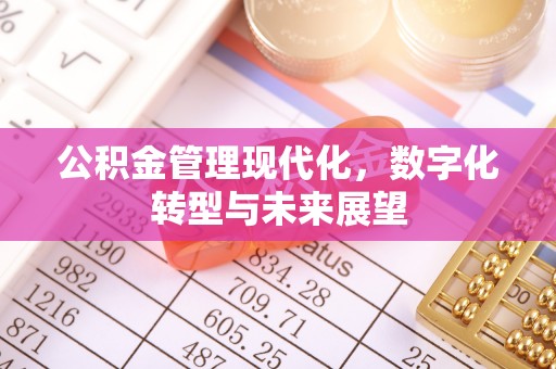 文圣公积金管理现代化，数字化转型与未来展望