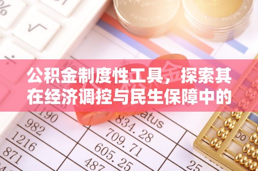 文圣公积金制度性工具，探索其在经济调控与民生保障中的重要作用