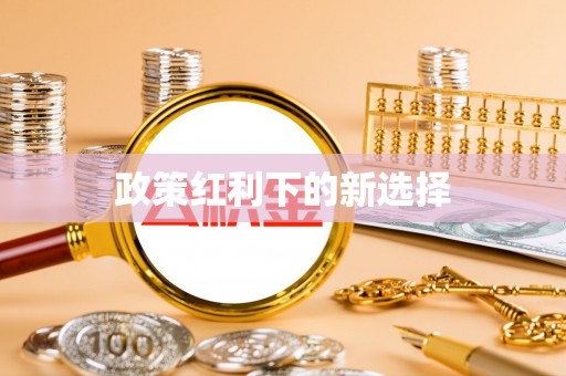 文圣政策红利下的新选择