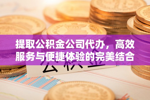 文圣提取公积金公司代办，高效服务与便捷体验的完美结合