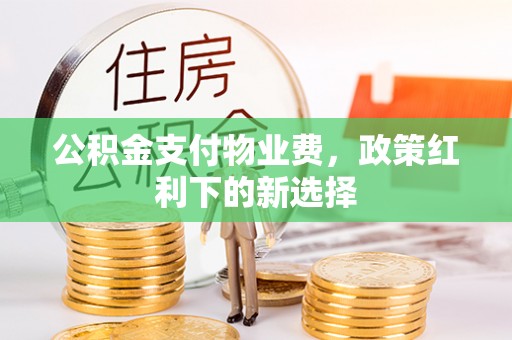 文圣公积金支付物业费，政策红利下的新选择