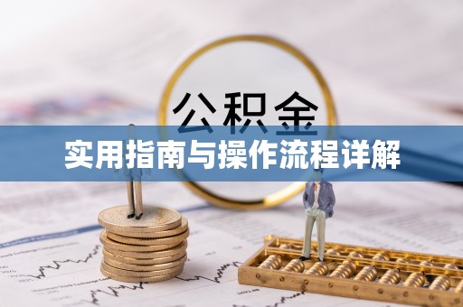 文圣实用指南与操作流程详解