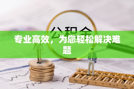 文圣专业高效，为您轻松解决难题
