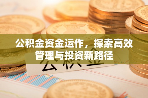 文圣公积金资金运作，探索高效管理与投资新路径