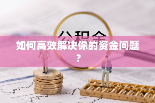 文圣如何高效解决你的资金问题？