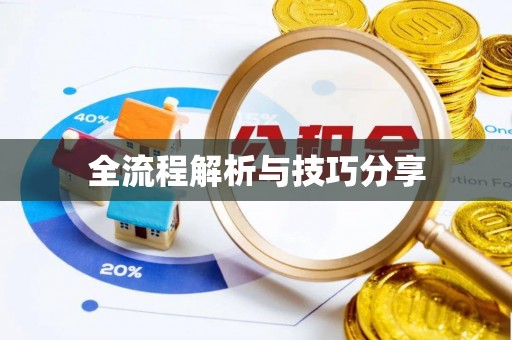 文圣全流程解析与技巧分享