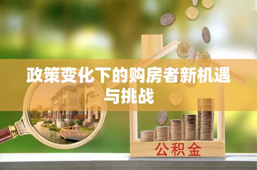 文圣政策变化下的购房者新机遇与挑战