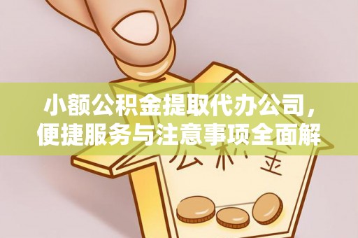 文圣小额公积金提取代办公司，便捷服务与注意事项全面解析