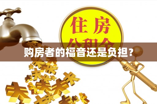 文圣购房者的福音还是负担？