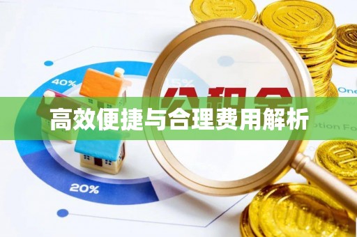 文圣高效便捷与合理费用解析