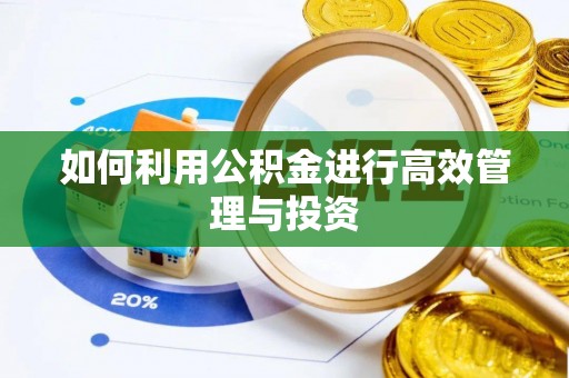 文圣如何利用公积金进行高效管理与投资