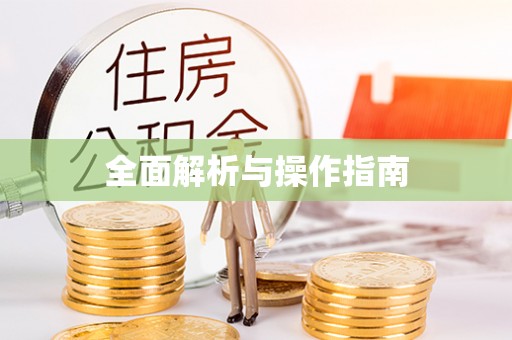 文圣全面解析与操作指南