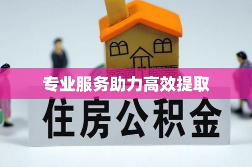 文圣专业服务助力高效提取