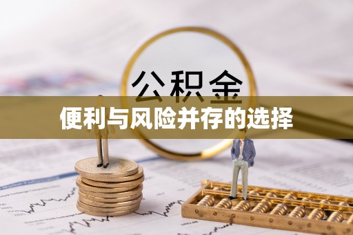 文圣便利与风险并存的选择