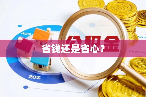 文圣省钱还是省心？