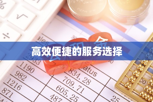 文圣高效便捷的服务选择
